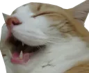 Emoji 5_CatLul