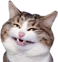 Emoji 5_catsmile