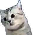 Emoji 5_excusemewtf