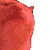 Emoji 5_RaveCat1