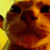 Emoji 59_RaveCat2