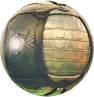 Emoji rl_ball