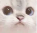 Emoji 808952222246895635