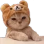 Emoji 746389848960663574