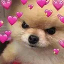 Emoji Cutedog