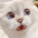 Emoji CHAT3omggg