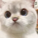 Emoji CHAT2
