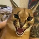 Emoji grrrre