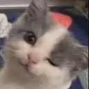 Emoji wink