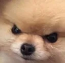 Emoji meme_pas_content