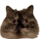 Emoji yponyocat