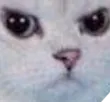 Emoji catvnr