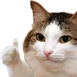 Emoji catok