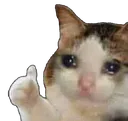 Emoji catok2