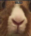 Emoji EPXD