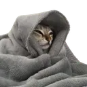 Emoji irl_shiria