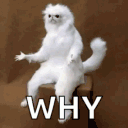 Emoji EC_why