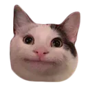 Emoji 7105231593125970321