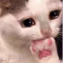 Emoji image0