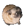 Emoji dogdance