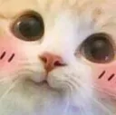 Emoji catsmile