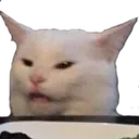 Emoji catwtf