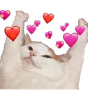 Emoji catlove
