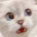 Emoji 35