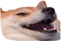 Emoji doggolaunch