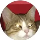 Emoji monchatzoom