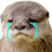 Emoji loutretriste