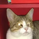Emoji monchat