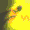 Emoji Rainbow_Cat_3