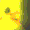 Emoji Rainbow_Cat_4