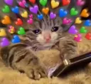 Emoji PetitChatCoeur