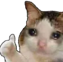 Emoji nekokay
