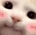 Emoji Nekokawaii