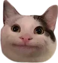 Emoji catfish