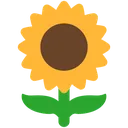 Emoji Tournesol
