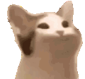 Emoji popcat