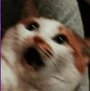 Emoji emoji_50