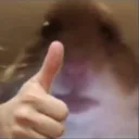 Emoji hamsterokdep