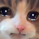 Emoji emoji_16