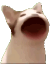 Emoji PPDISCORD