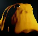 Emoji SCP999
