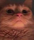 Emoji emoji_13