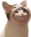 Emoji SCbopINSIDE