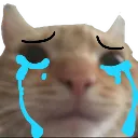 Emoji PleureMelon