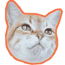Emoji agentelaranja