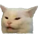 Emoji smudge